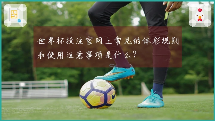 世界杯投注官网上常见的体彩规则和使用注意事项是什么？
