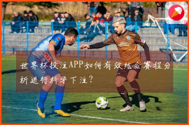 世界杯投注APP如何有效结合赛程分析进行科学下注？