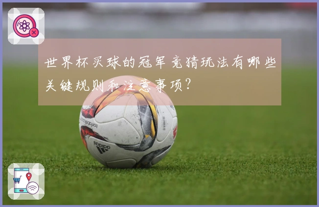 世界杯买球的冠军竞猜玩法有哪些关键规则和注意事项？