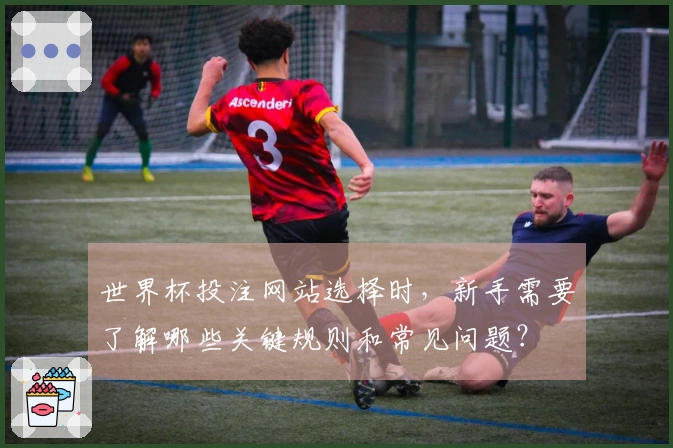 世界杯投注网站选择时，新手需要了解哪些关键规则和常见问题？