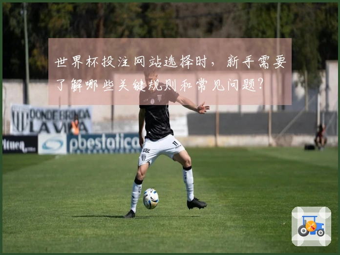 世界杯投注网站选择时，新手需要了解哪些关键规则和常见问题？