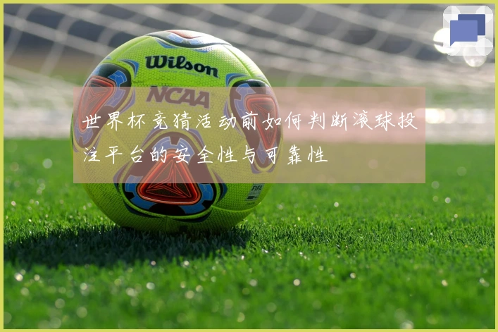 世界杯竞猜活动前如何判断滚球投注平台的安全性与可靠性