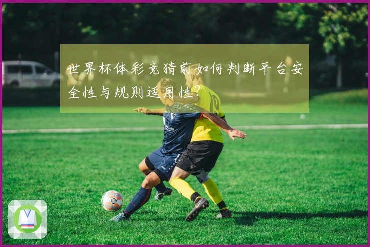 世界杯体彩竞猜前如何判断平台安全性与规则适用性？