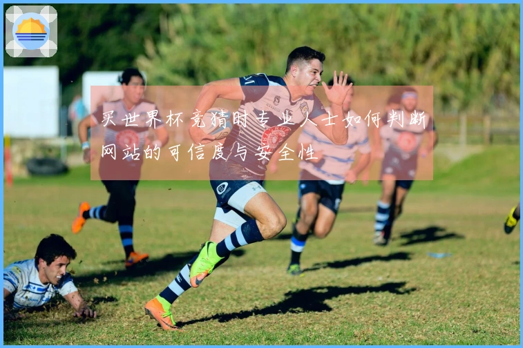 买世界杯竞猜时专业人士如何判断网站的可信度与安全性